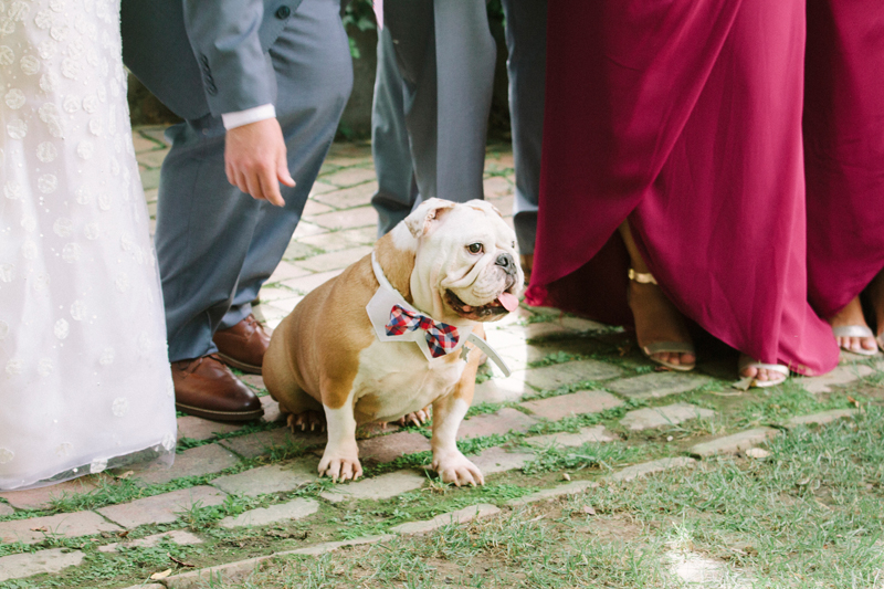 Diana and Devin's wedding at Colonial Dames by Maria Mack Photography ©2016 https://mariamackphotography.com